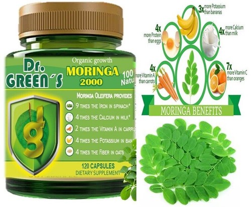 Moringa oleifera organic - moringa,